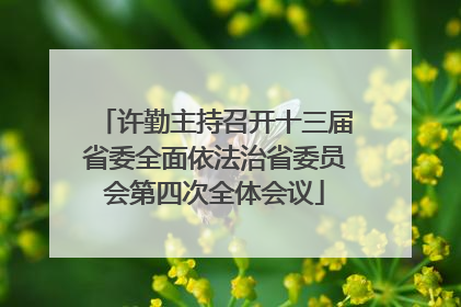 许勤主持召开十三届省委全面依法治省委员会第四次全体会议